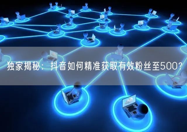 独家揭秘:抖音如何精准获取有效粉丝至500?