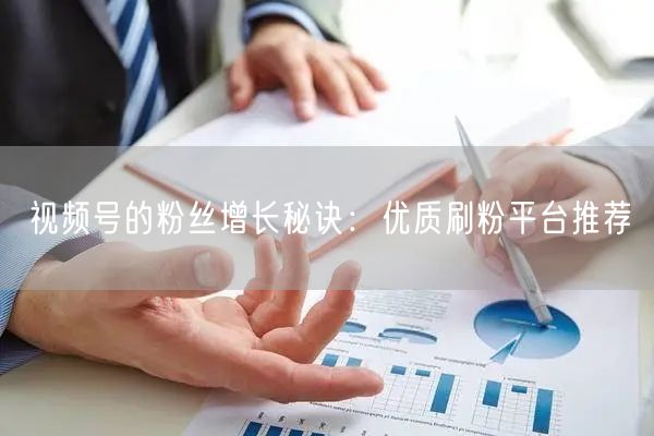 视频号的粉丝增长秘诀:优质刷粉平台推荐