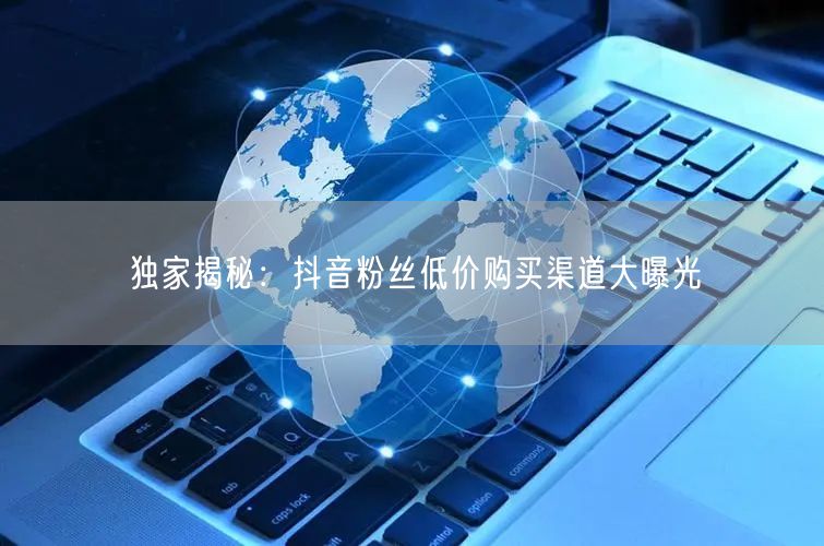 独家揭秘:抖音粉丝低价购买渠道大曝光
