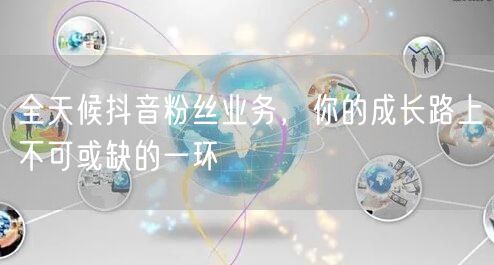 全天候抖音粉丝业务,你的成长路上不可或缺的一环